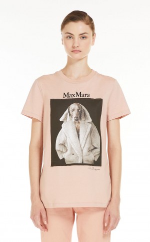 PINK MaxMara Cotton With Wegman Print T-shirts | MMR593669