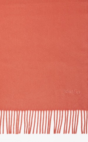 RASPBERRY MaxMara Cashmere Stole With Embroidery Scarves | MMR594275