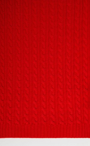 RED MaxMara Cashmere Scarf Scarves | MMR594260